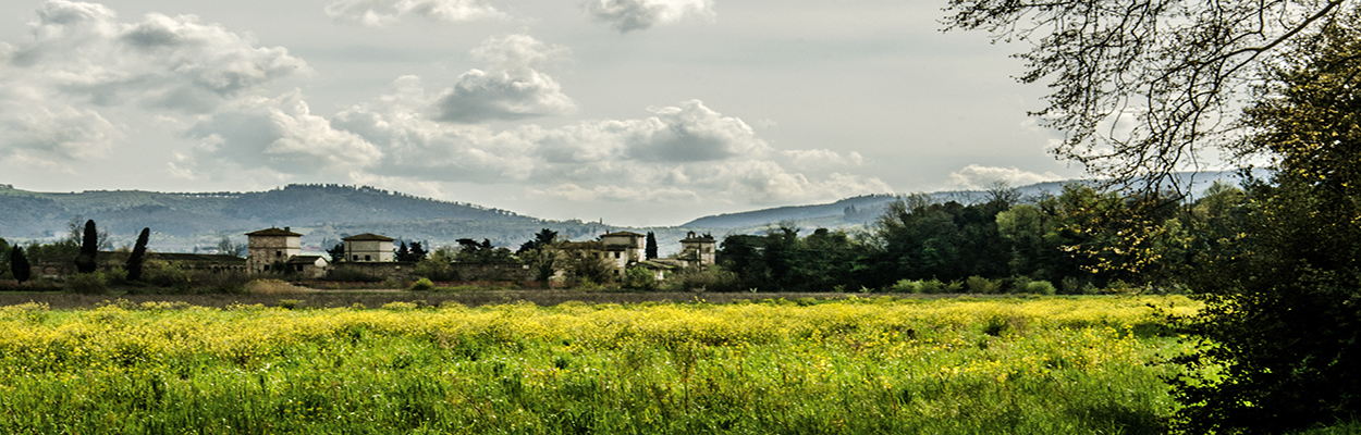 primavera 7.jpg